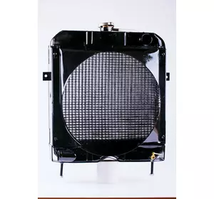 Радиатор охлаждения ТАТА DongFeng 244/240 410х470х165 мм