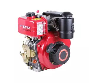 Двигатель дизельный 173D ТАТА (с выходом вала под шпонку, 20 мм) 5 л.с.